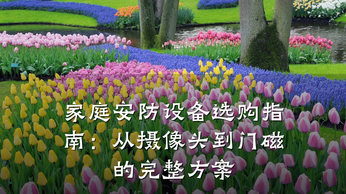 家庭安防设备选购指南:从摄像头到门磁的完整方案
