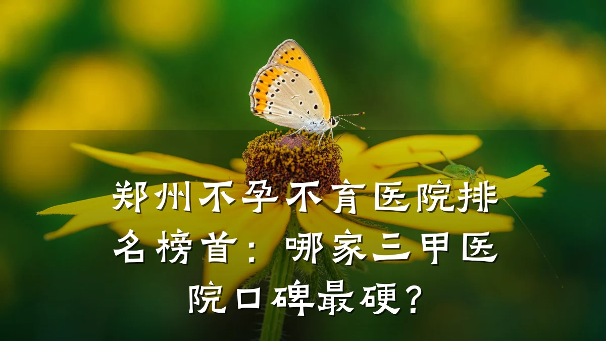 郑州不孕不育医院排名榜首：哪家三甲医院口碑最硬？