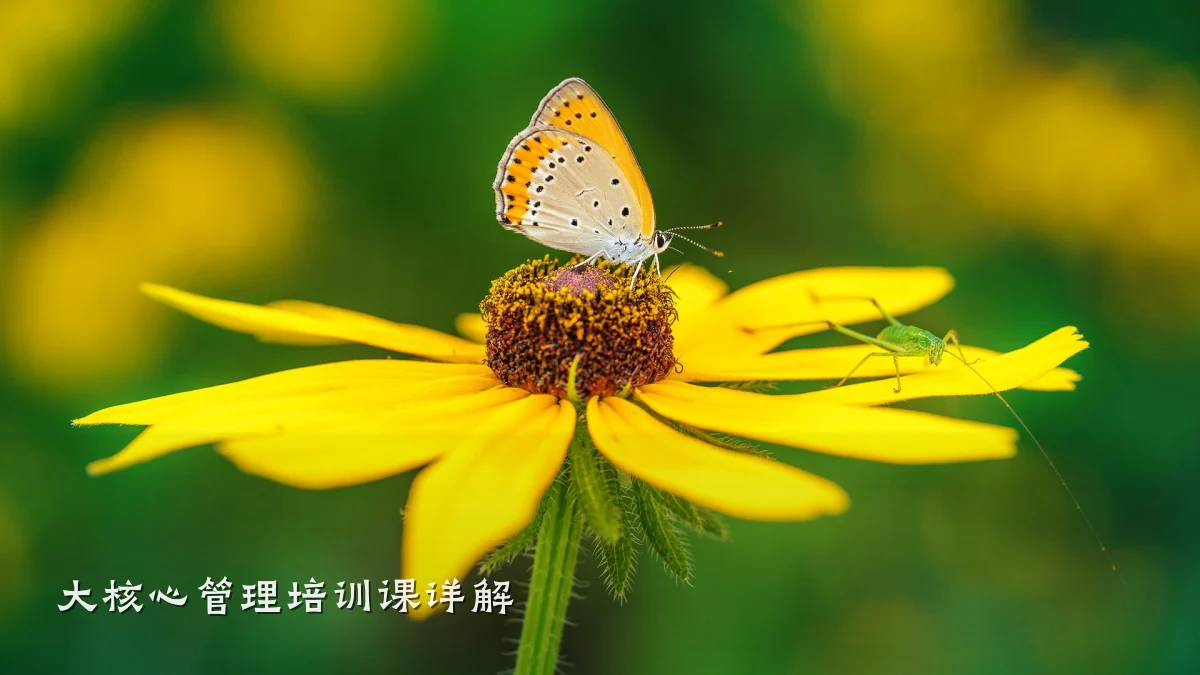 大核心管理培训课详解
