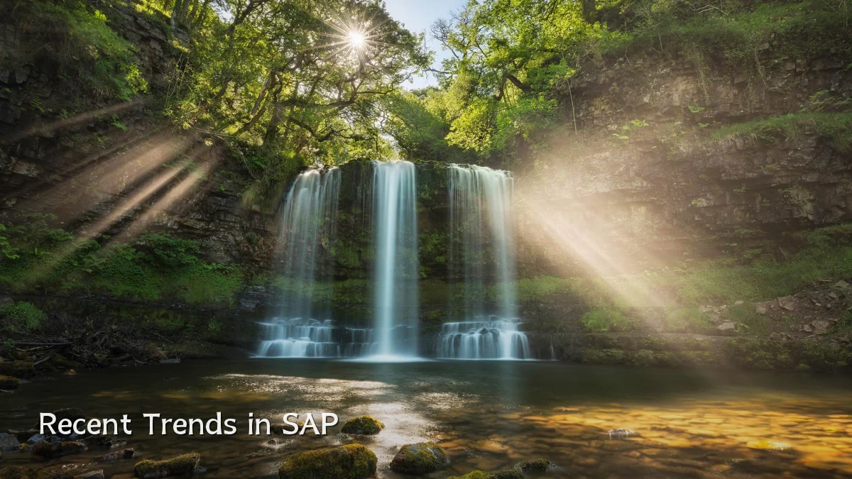 Recent Trends in SAP