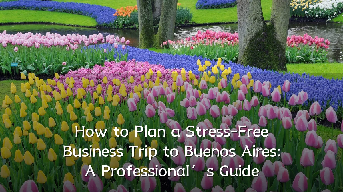 How to Plan a Stress-Free Business Trip to Buenos Aires: A Professional’s Guide