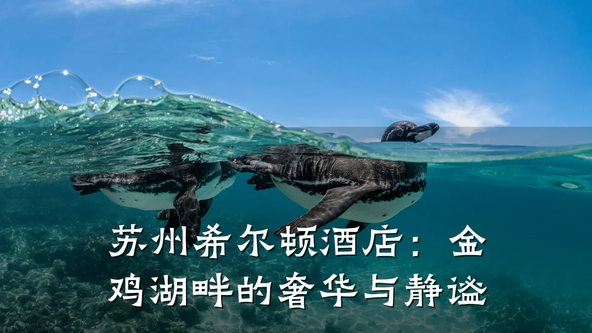 苏州希尔顿酒店:金鸡湖畔的奢华与静谧